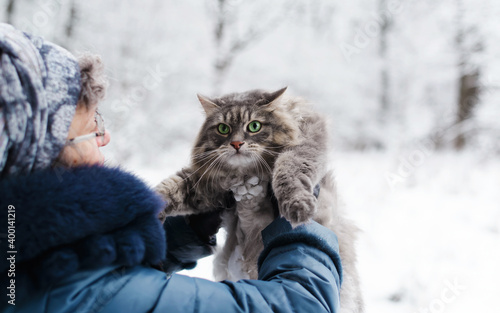 Woman holding fluffy, gray cat with green eyes outside. Siberian cat looking at the camera. photo