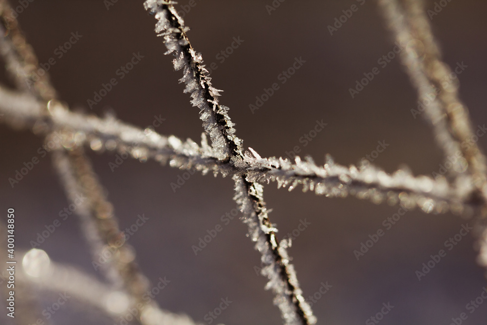 Frost on the iron grid macro. Beautiful winter concept background. Close-up of a frozen iron fence. Macro frost on a blurry background Frost on the iron grid macro. Beautiful winter concept background. Close-up of a frozen iron fence. Macro frost on a blurry background