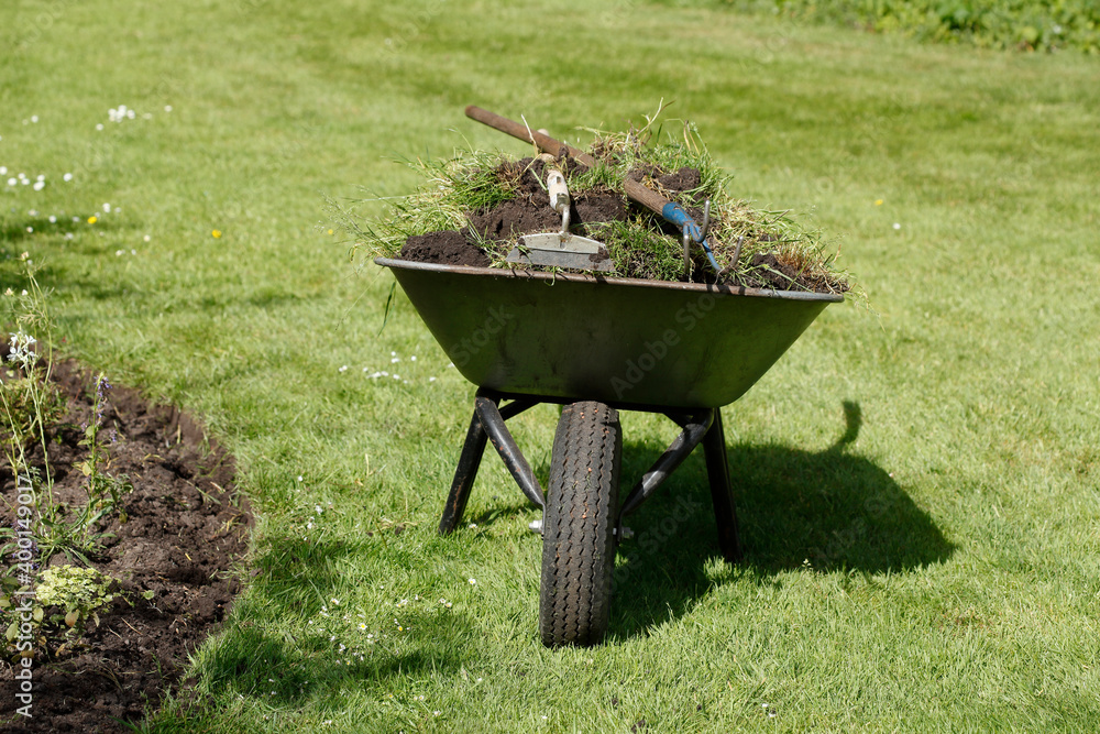 Schubkarre mit Pflanzen gefüllt auf einer Wiese in einem Park, Deutschland