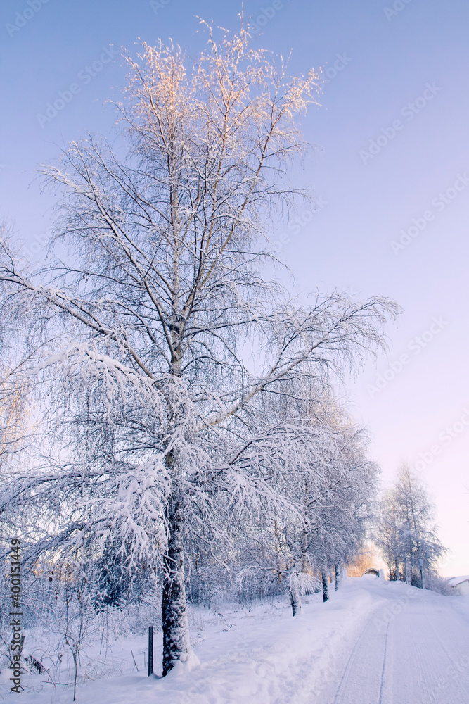 Winter park Winter park