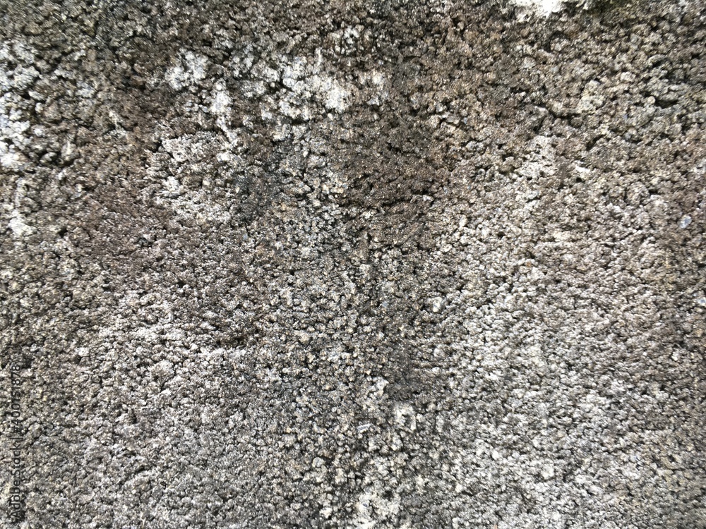 concrete wall texture concrete wall texture