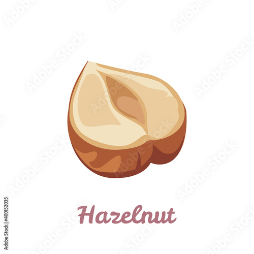 Hazelnut icon. Peeled hazelnut half isolated on white background. Vector illustration of healthy food in cartoon flat style.