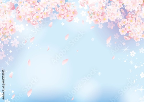 桜の背景03