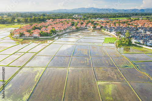 Land, landscape of field in aerial view. Plot of land on earth for agriculture farm, farmland or plantation. Rural area with nature at countryside in Chiang mai of Thailand. Real estate or property.