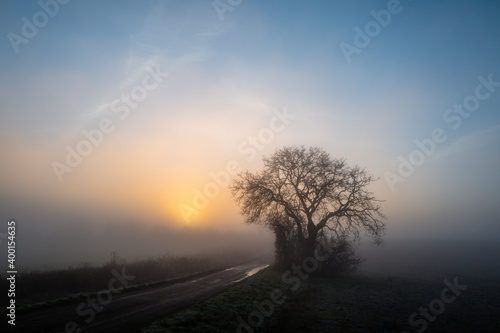 sunrise in the fog