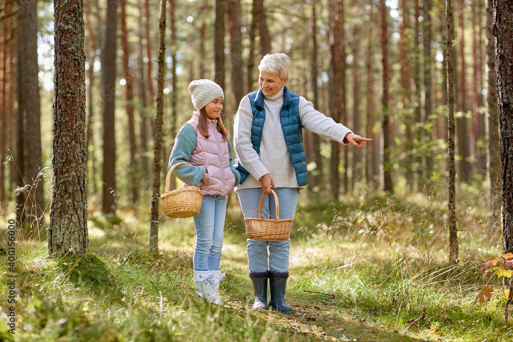 season, leisure and people concept - grandmother and granddaughter with baskets picking mushrooms in forest