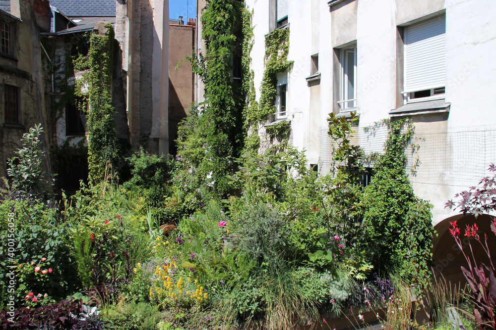 urban garden in nantes (france)