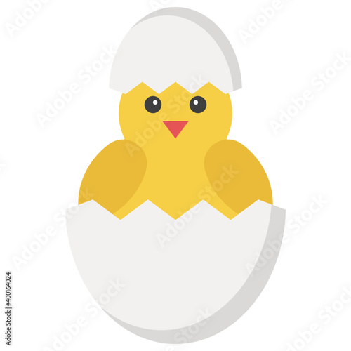 Chicken Hatching  