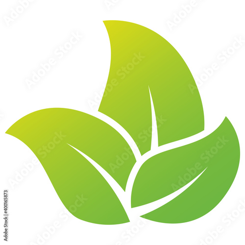 Elm Leaves Logo  