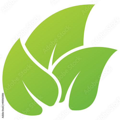 Elm Leaves Logo  