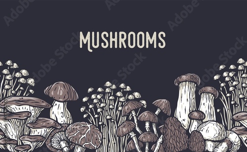Autumn forest mushroom picking, vegetarian menu frame