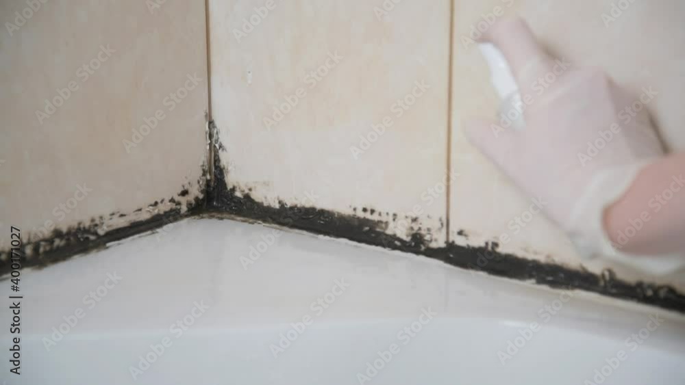 A gloved hand sprays mildew control. The fungus started in the silicone putty in the shower