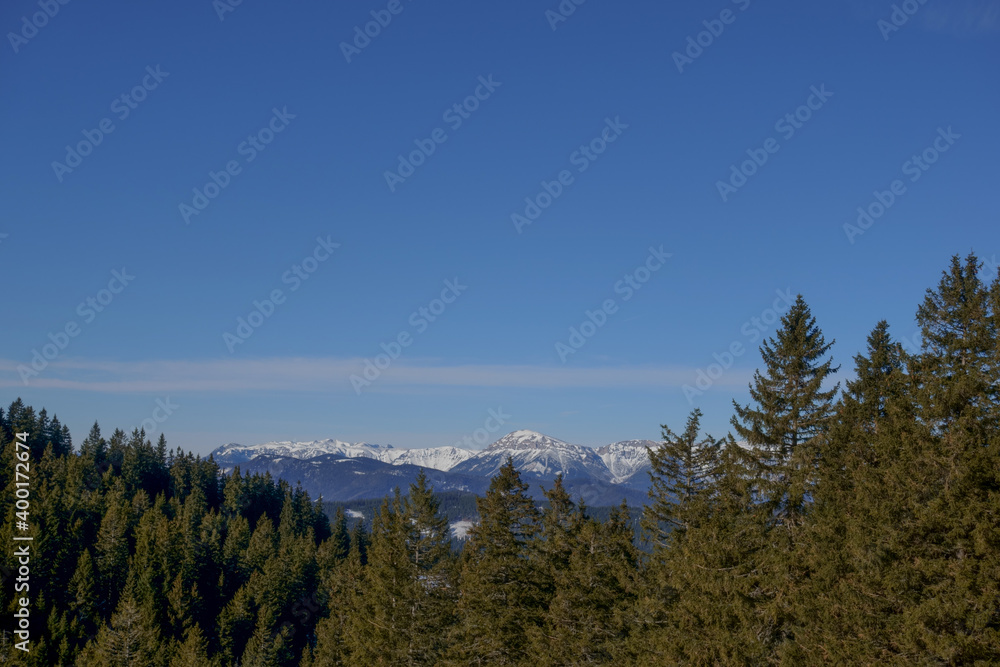 mountain with snow and pinetrees while hiking in the winter