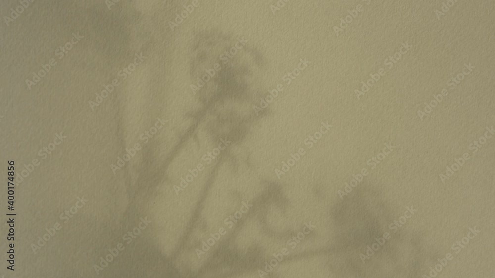 Abstract moving shadows on the wall. A light morning breeze stirs the transparent tulle and flowers on the window. Monochrome shadow pattern on the beige texture of the wall. Natural background