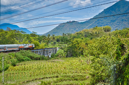 rice field in the mountains