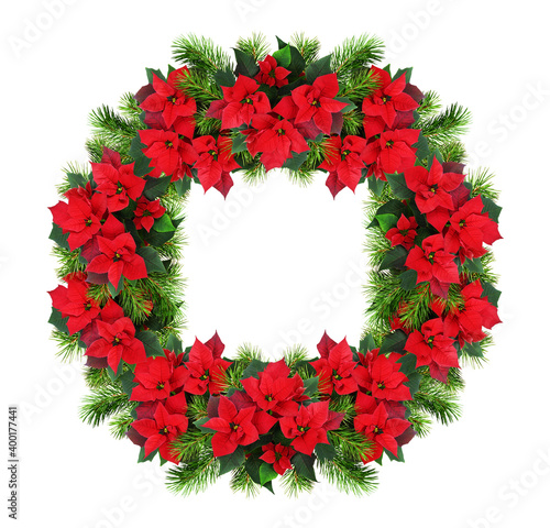 Christmas red poinsettia fl...