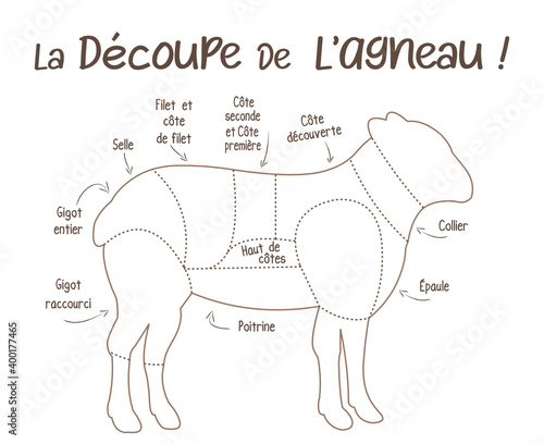 La découpe de l'agneau, boucherie, schéma découpe de l'agneau en français, illustration, croquis