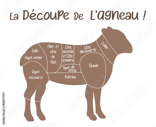 La découpe de l'agneau, boucherie, schéma découpe de l'agneau en français, illustration, croquis