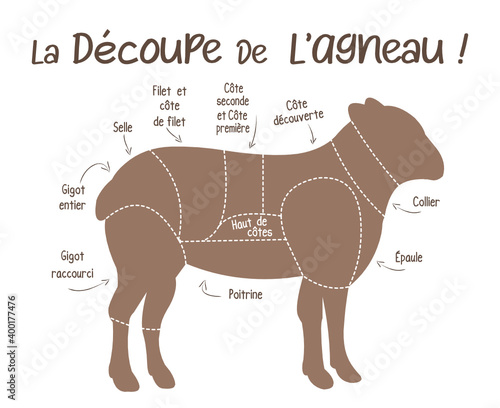 La découpe de l'agneau, boucherie, schéma découpe de l'agneau en français, illustration, croquis