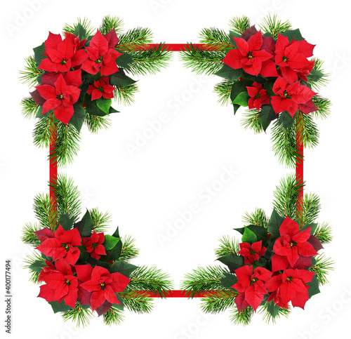 Christmas red poinsettia fl...