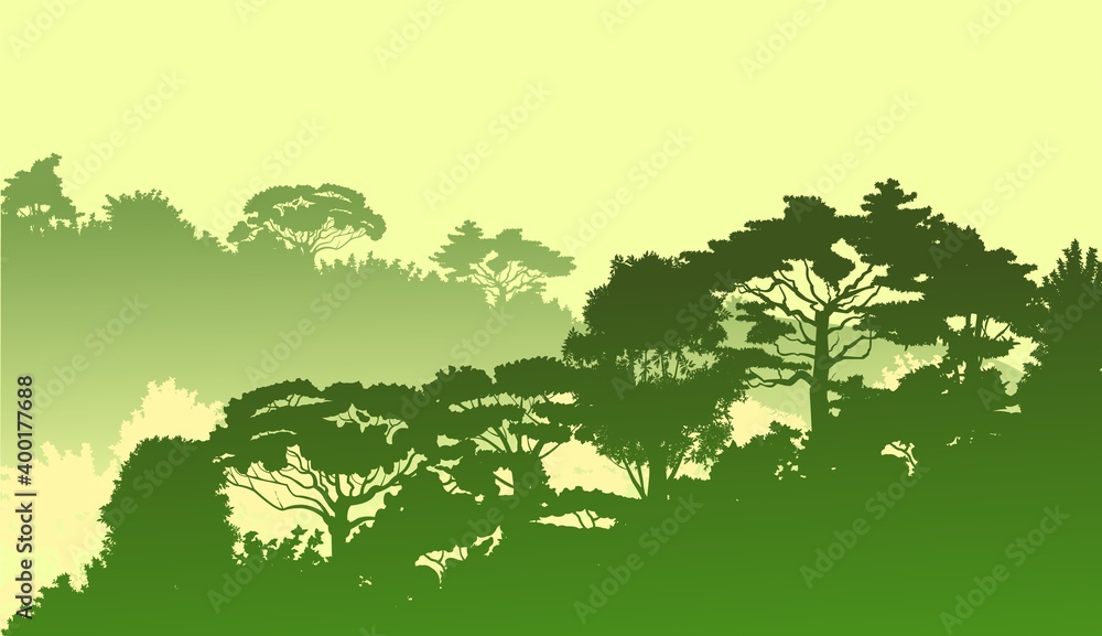 Fototapeta premium Deciduous forest. Silhouette. Mature, spreading trees. Thick thickets. Hills overgrown with plants. Sky. Vector