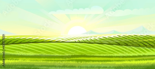 Hills and meadows. Haymaking pastures. Agricultural farm land. Green grass. Grassland for farming. Beautiful countryside landscape. Vector