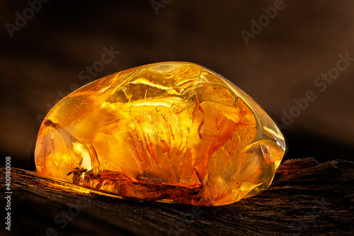 Beauty of natural raw amber. A piece of yellow transparent natural amber on piece of stoned wood