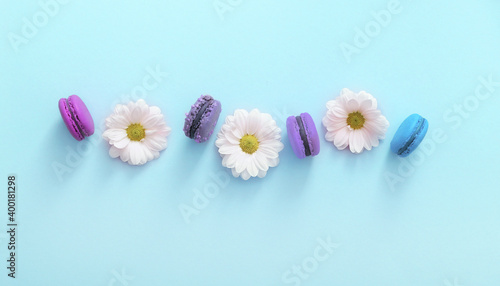 Flat lay composition of colorful french macaroons and white flowers on blue background. Almond cookies.Top view. Valentine s day sweet gift concept holiday  celebration.