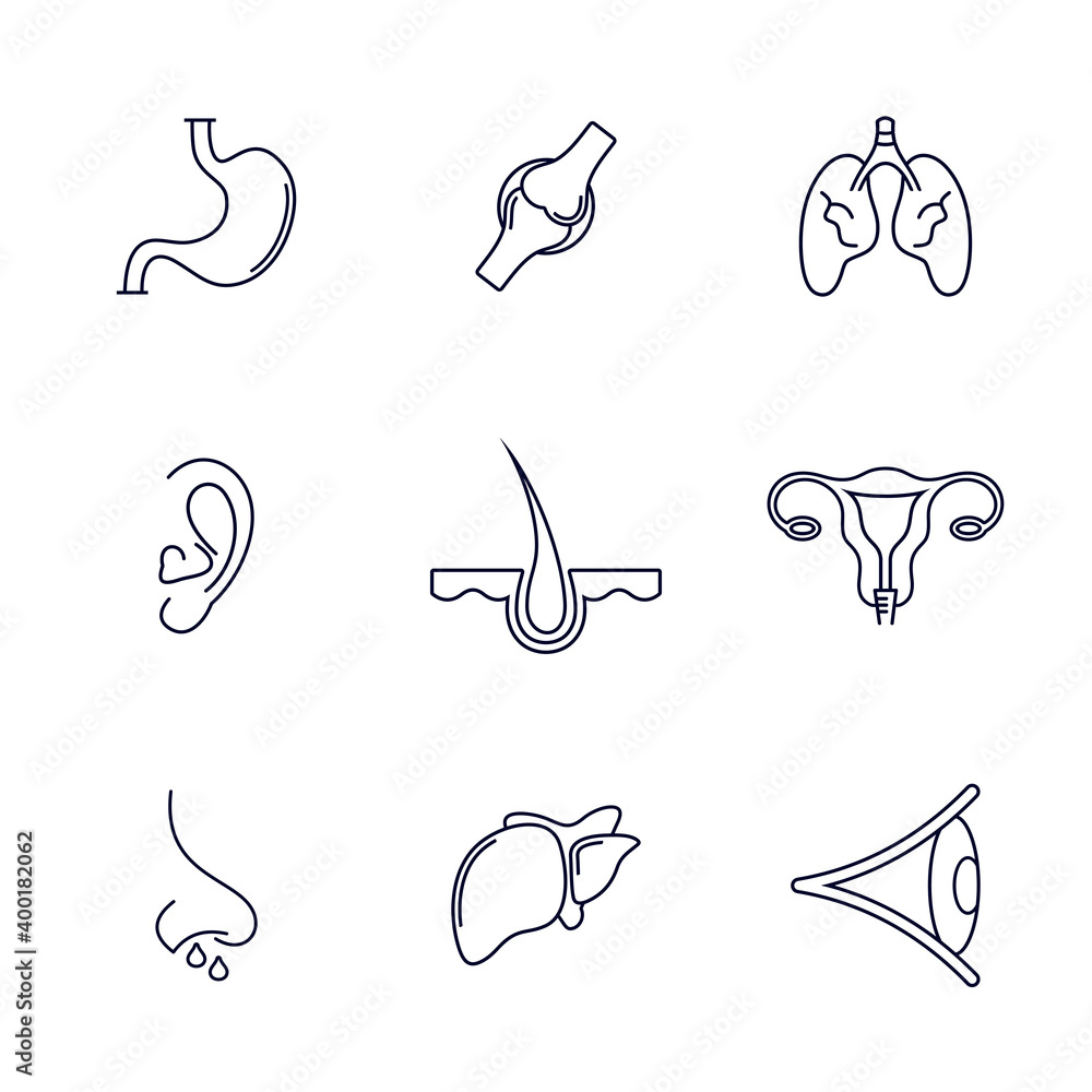 Set of Organ human logo design vector template, Organs logo design