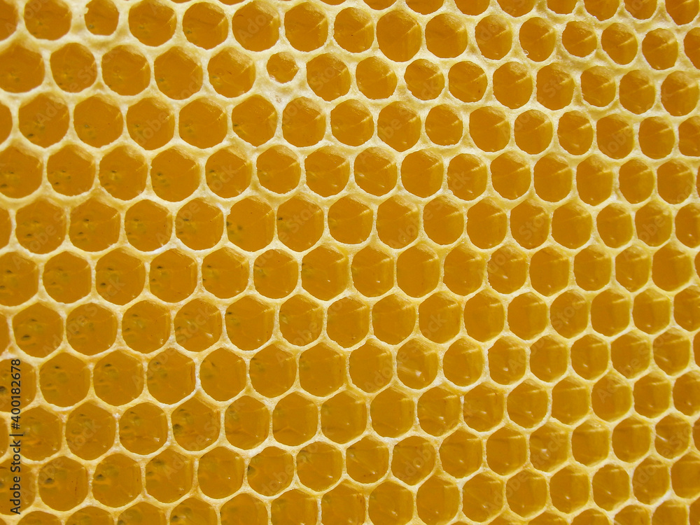 Honeycomb. Geometric, closeup. Yellow Honey cells texture background. Concept of beekeeping.