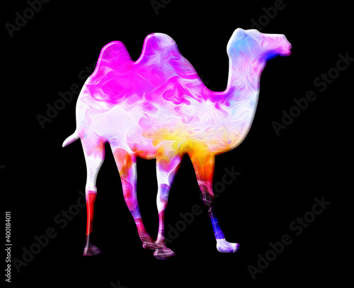 Camel animal Colorful Watercolor graphic illustration