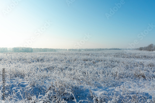 Snow covered winter field with trees. Winter landscape. Beautiful winter nature.