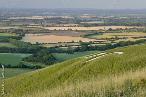 English countryside from White Horse Hill Uffington with horse drawing on hill