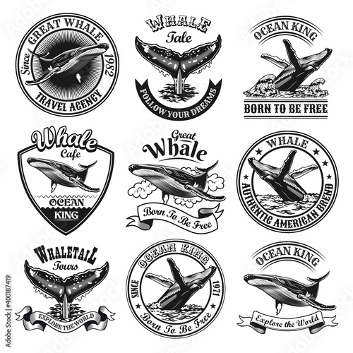Whale emblems set. Monochrome design elements with whale tails in ocean and text. Nature or wildlife concept for travel agency stamp, label, sign templates