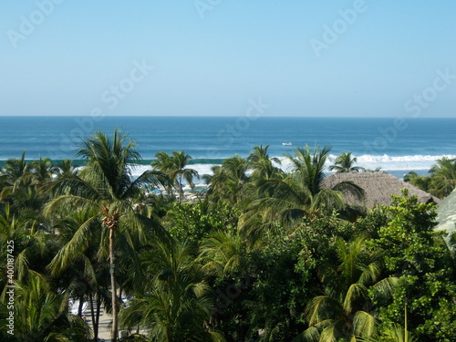 Vue avec palmiers sur une plage à Acapulco