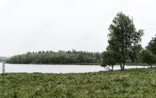 The beauty of forest landscapes with a river. photo