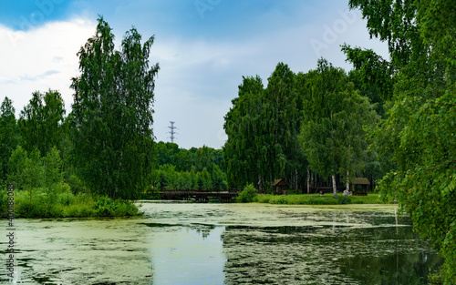 The beauty of forest landscapes with a river. photo