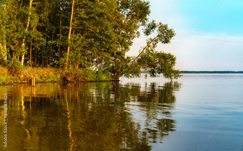 Fototapeta premium The beauty of forest landscapes with a river.