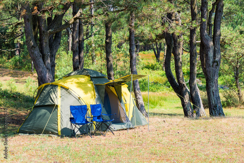 camping tent and a couple of chairs in a picturesque place among the pine trees