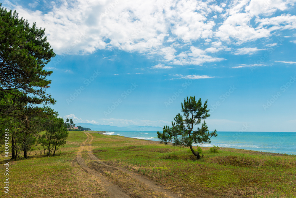 beach and sea on a sunny day in the shade of the pines