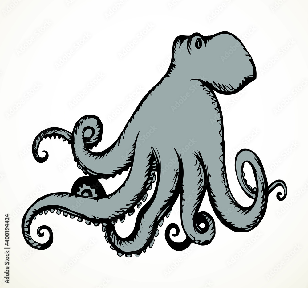 Obraz premium Octopus. Vector drawing icon sign