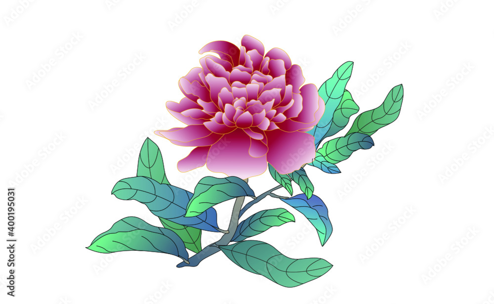 Chinese style peony flower vector illustration Chinese style peony flower vector illustration
