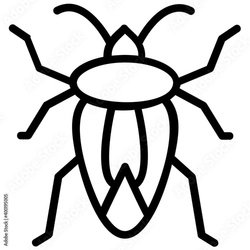 Stink beetle