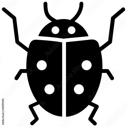 Beetle