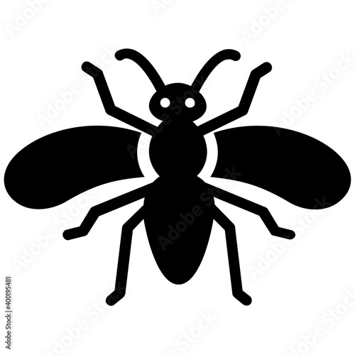 Honey bee