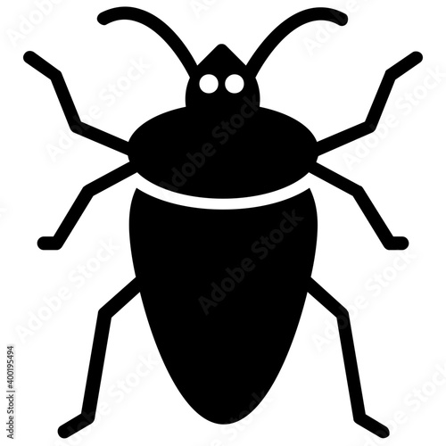 Stink beetle