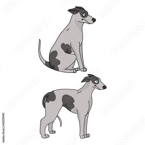 Cute cartoon Greyhound dog vector clipart. Pedigree kennel doggie for pet parlor mascot. Purebred domestic sighthound puppy training for kennel club illustration. Isolated canine breed. 