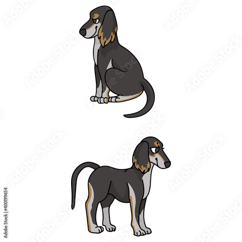 Cute cartoon Saluki puppy vector clipart. Pedigree borzoi dog for kennel club. Purebred domestic sighthound dog training for pet parlor illustration mascot. isolated canine breed.