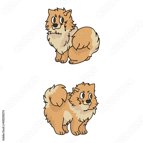 Cute cartoon Pomeranian puppy vector clipart. Pedigree kennel doggie for pet parlor. Purebred domestic spitz dog training for kennel club illustration mascot. Isolated canine breed. 