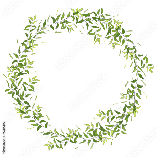 Hand drawn leaves wreath. Herbal vector frame for card, invitation, cover design. Botanical card template.